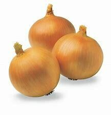 Onions (Spanish) Net of 3