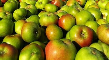 Apple (Bramley Cookers) 1kg