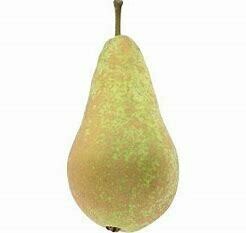Pear (Conference)