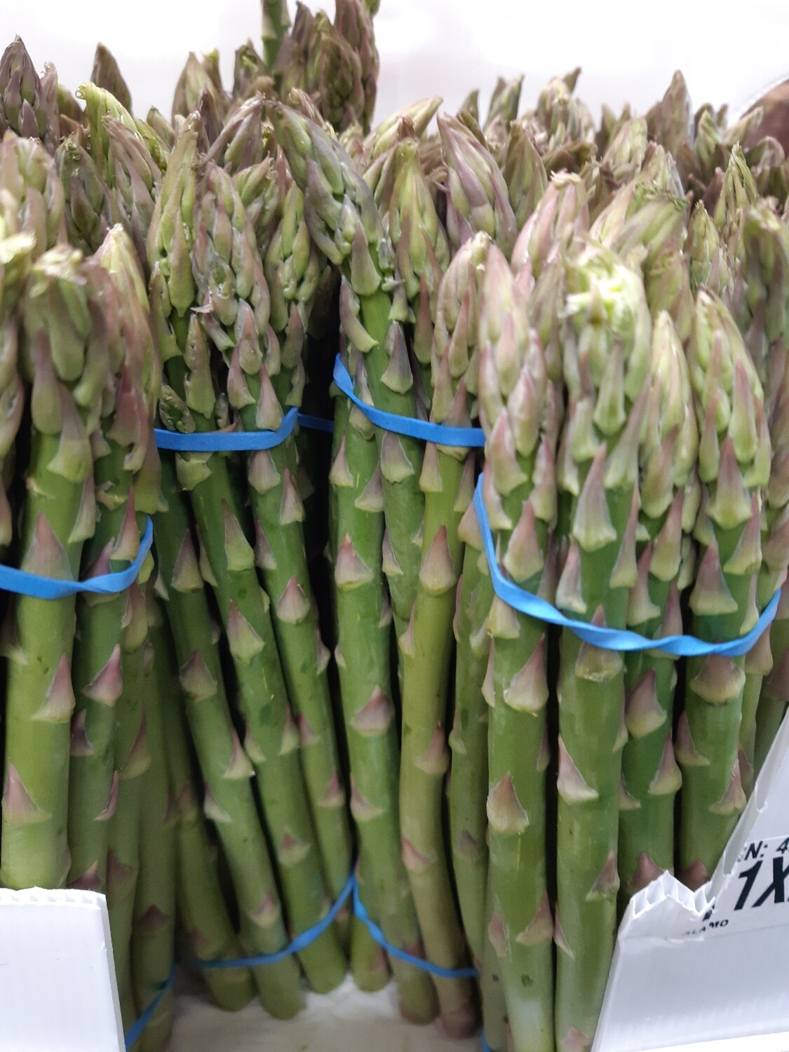 Asparagus