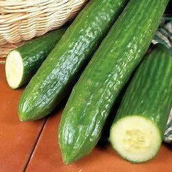 Cucumber (Large)