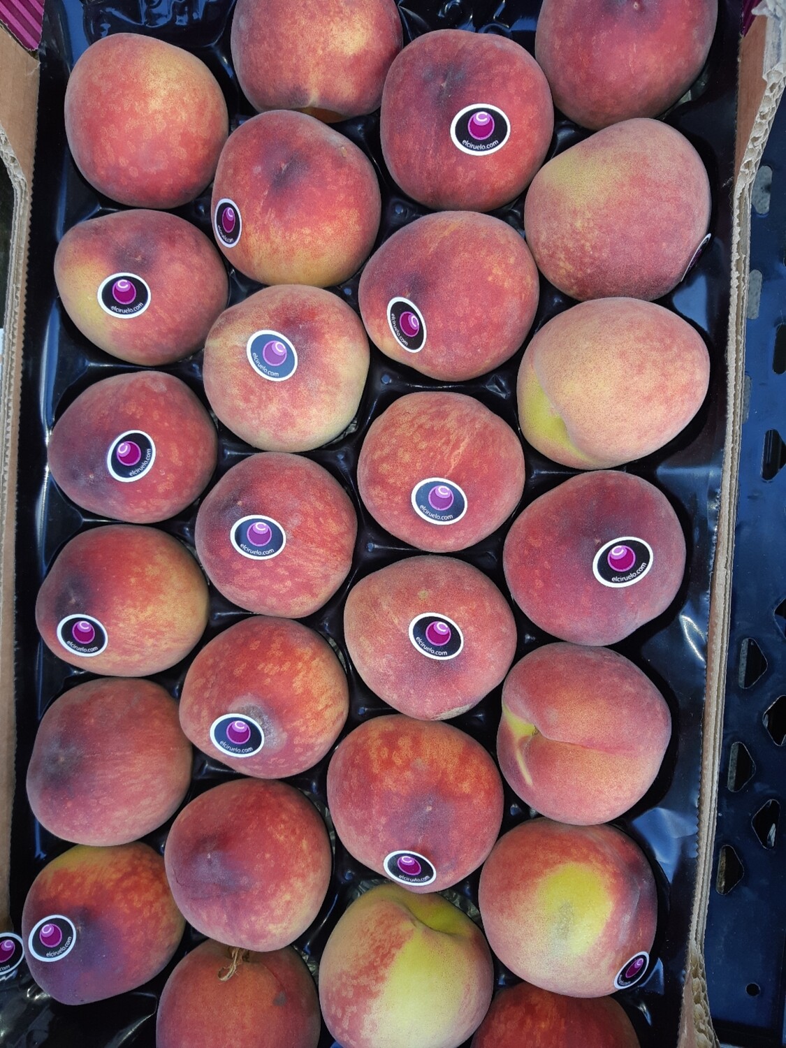 Peach NEW SEASON