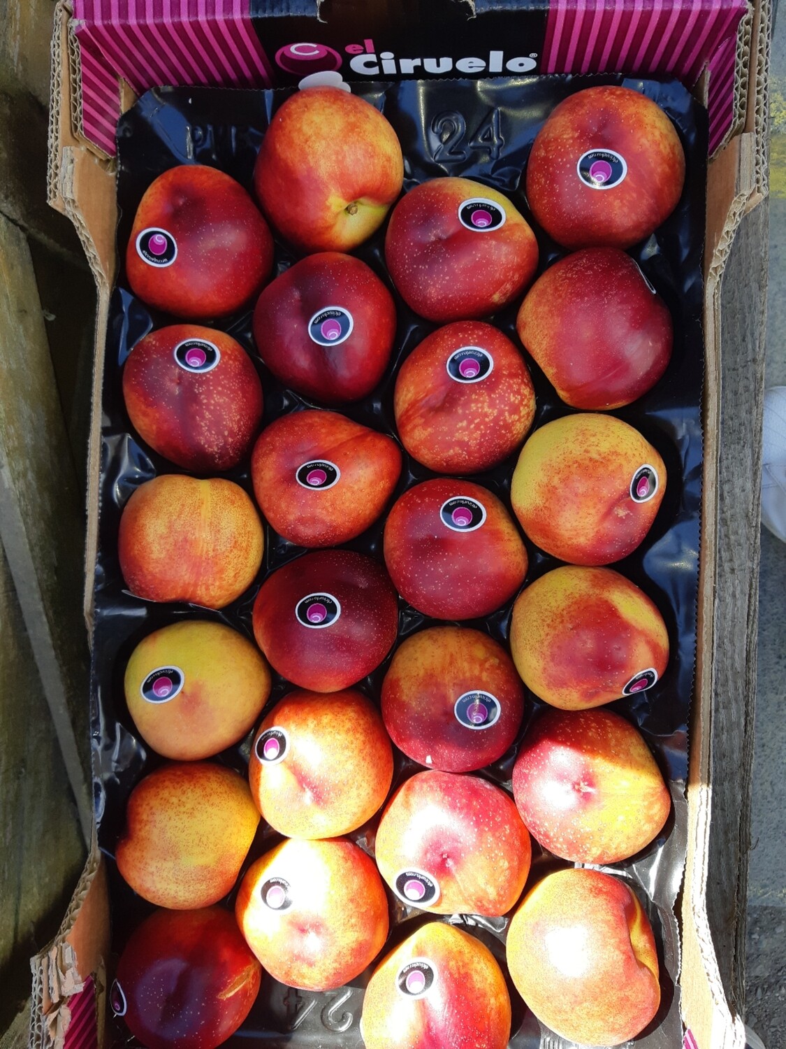 Nectarine