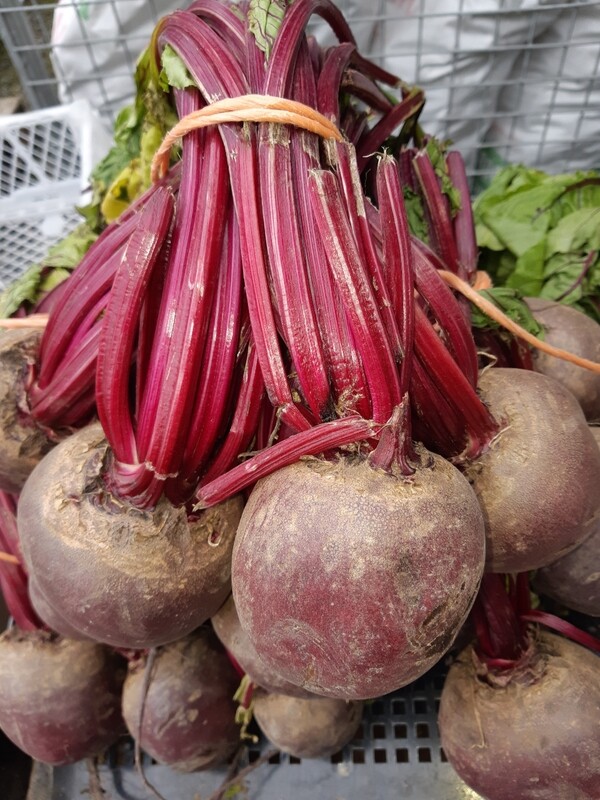 Beetroot Bunch