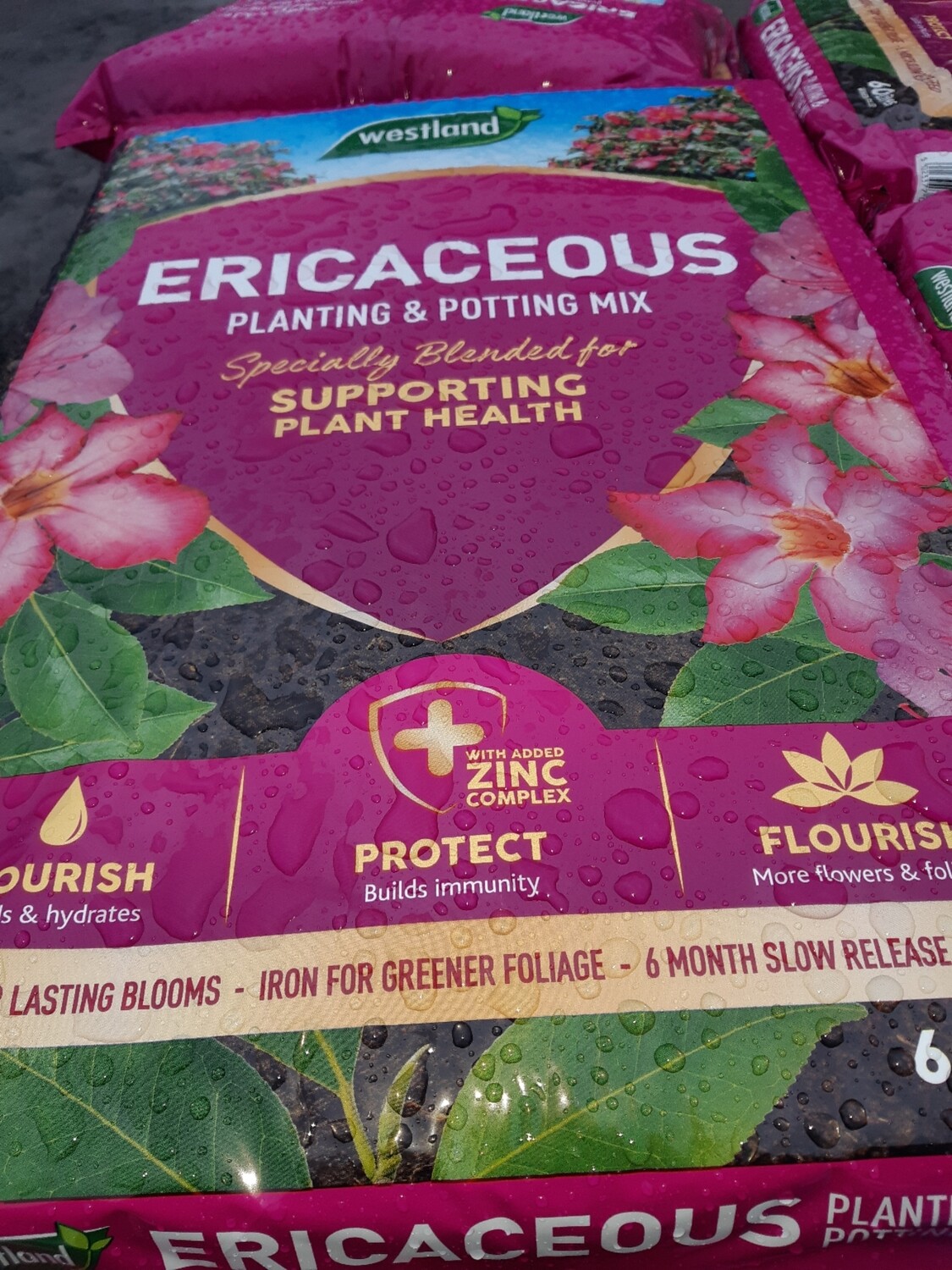 Ericaceous Compost  50lt