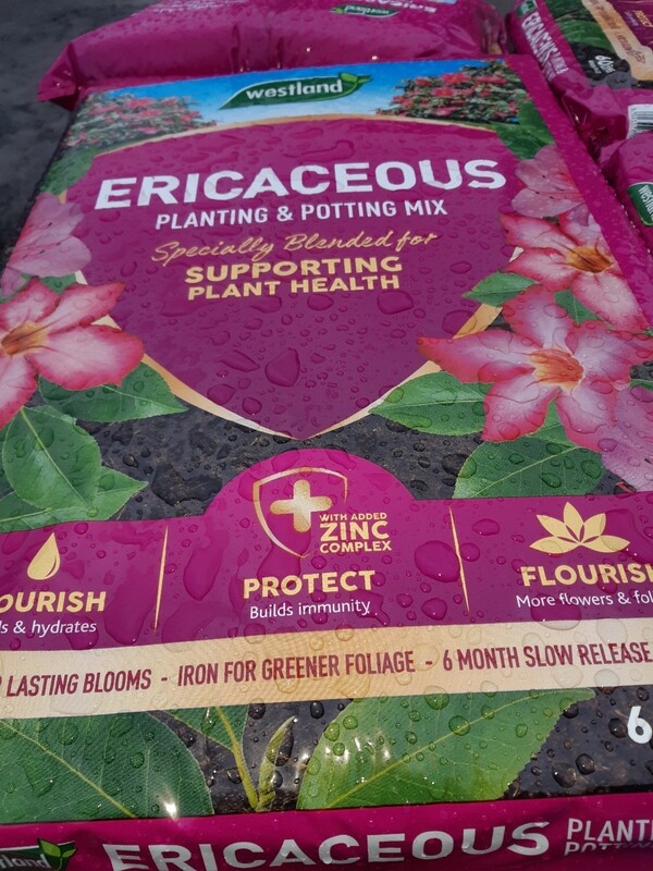 Ericaceous Compost  50lt
