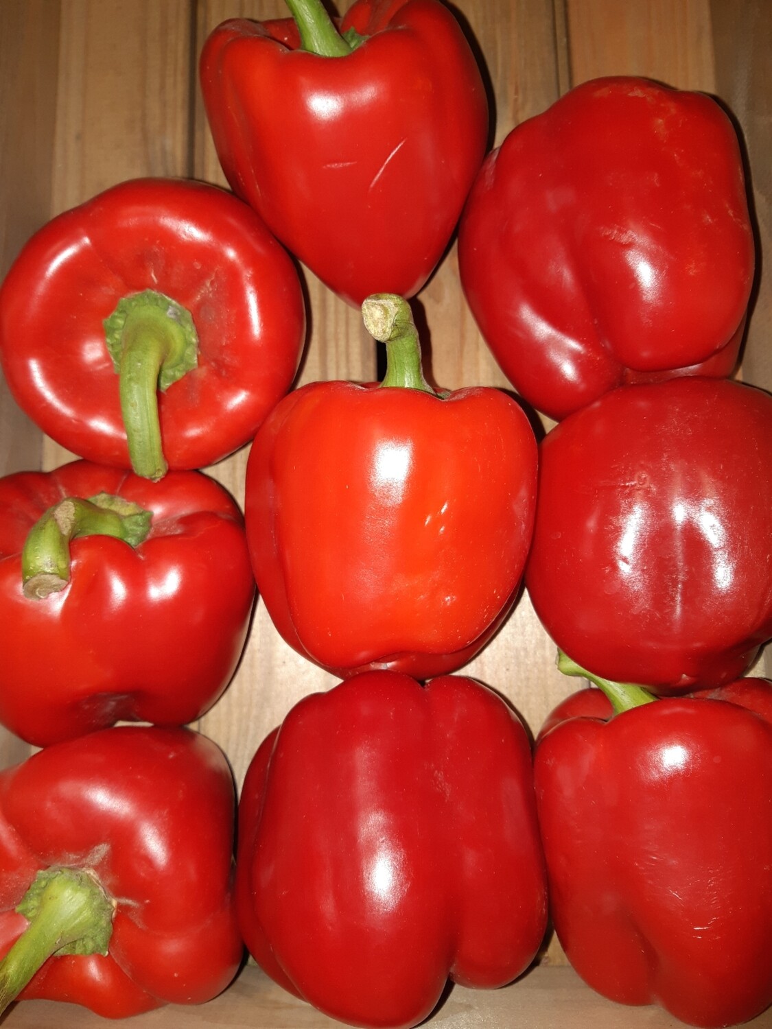 Large Red Peppers