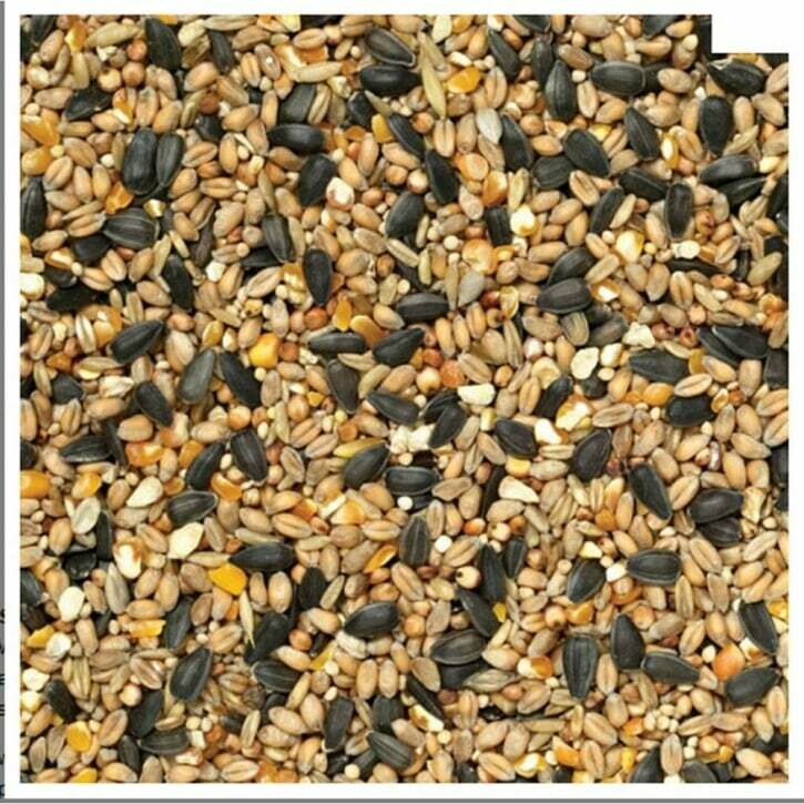Wild Bird Seed 10kg Jumbo Bag