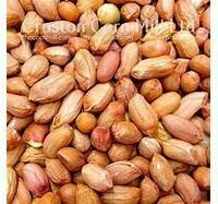 Peanuts for Birds 2kg