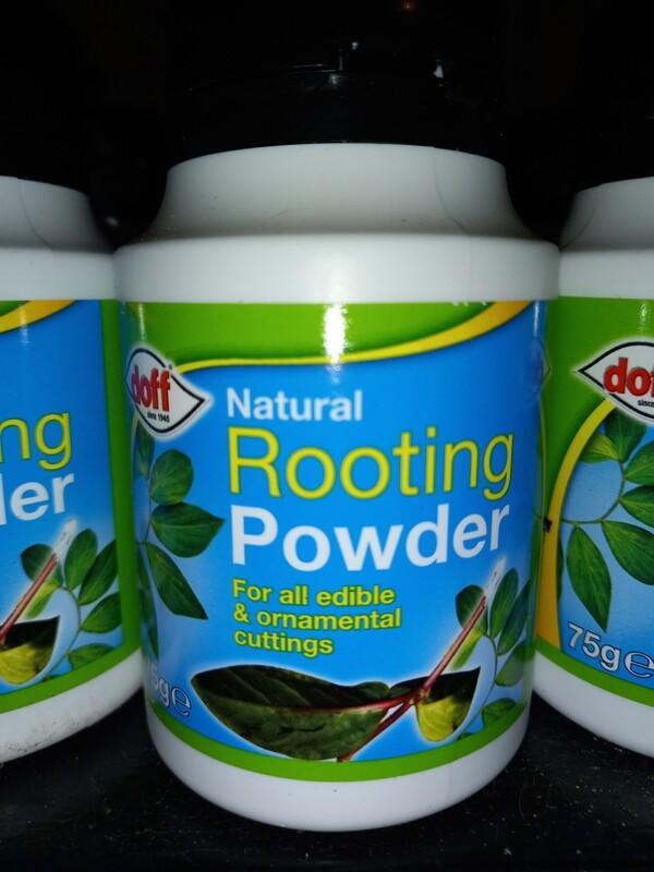 Rooting Powder