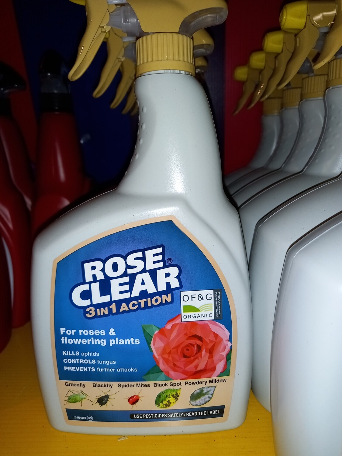 Rose Clear 3 in 1