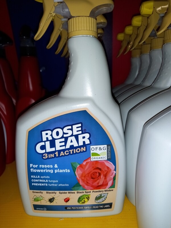 Rose Clear 3 in 1