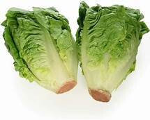 Lettuce (Little Gem)