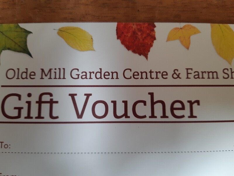 £100 GIFT VOUCHER