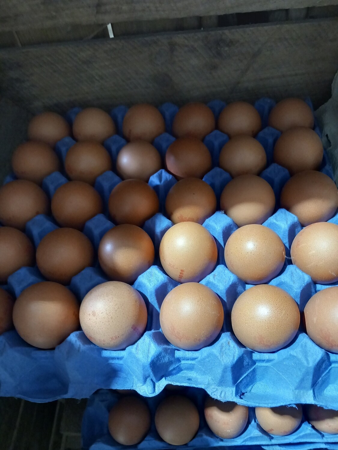 FREE RANGE EGGS X 30