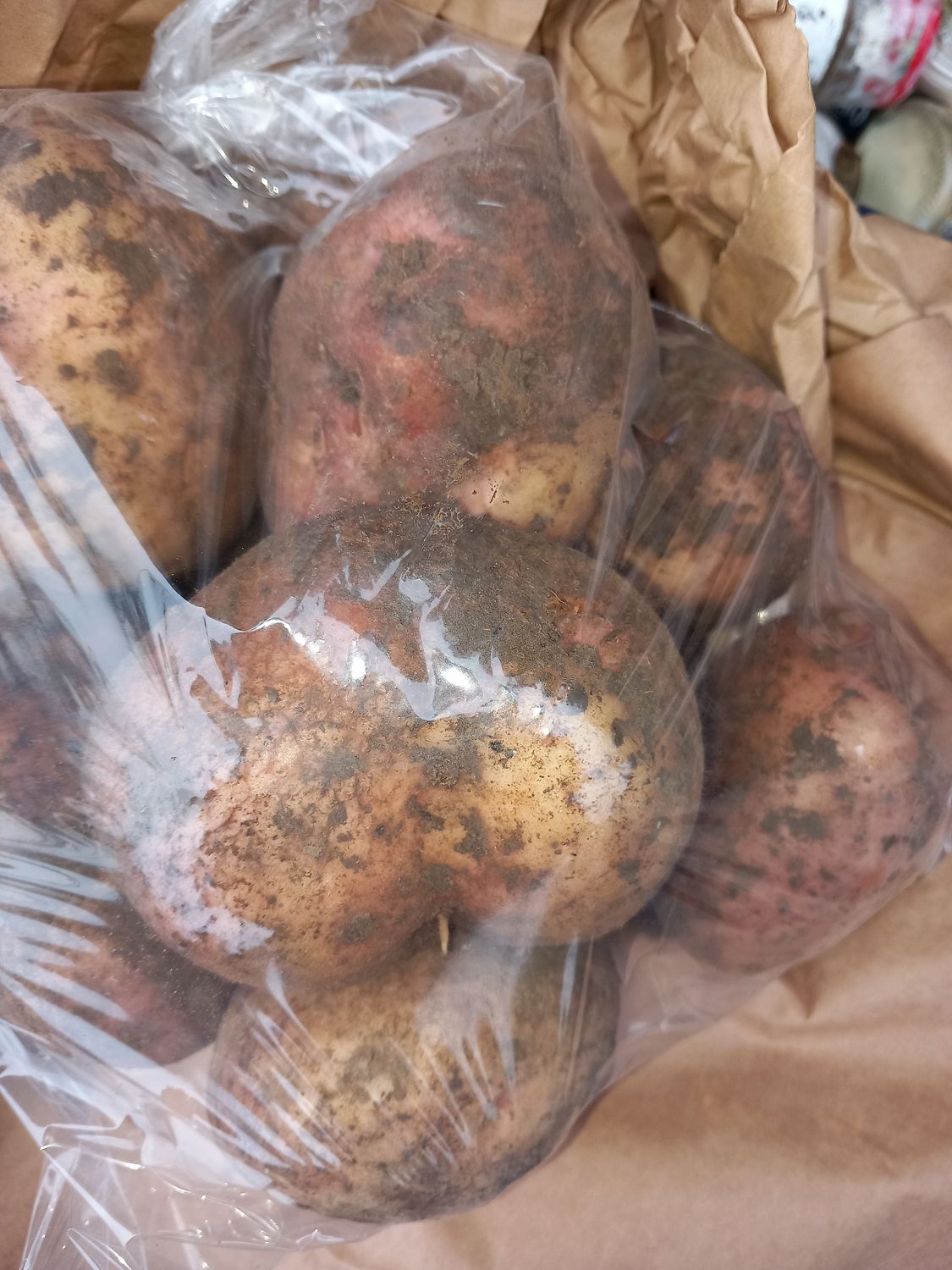 Potatoes pinks