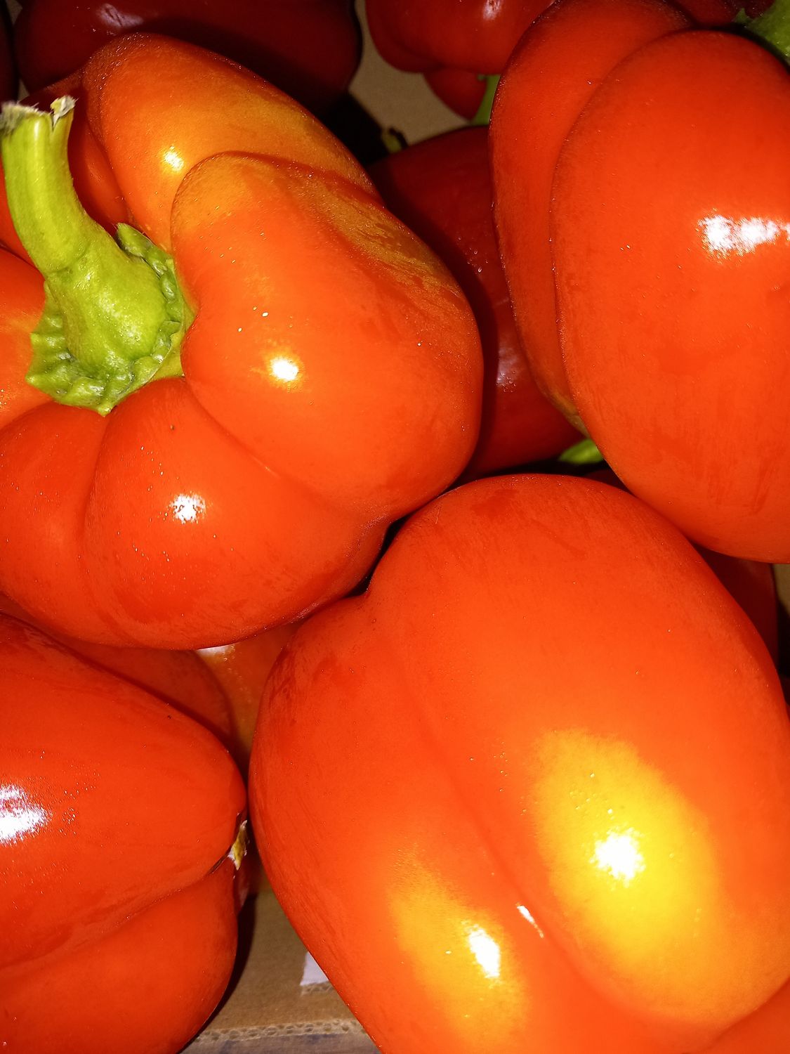 Red Pepper