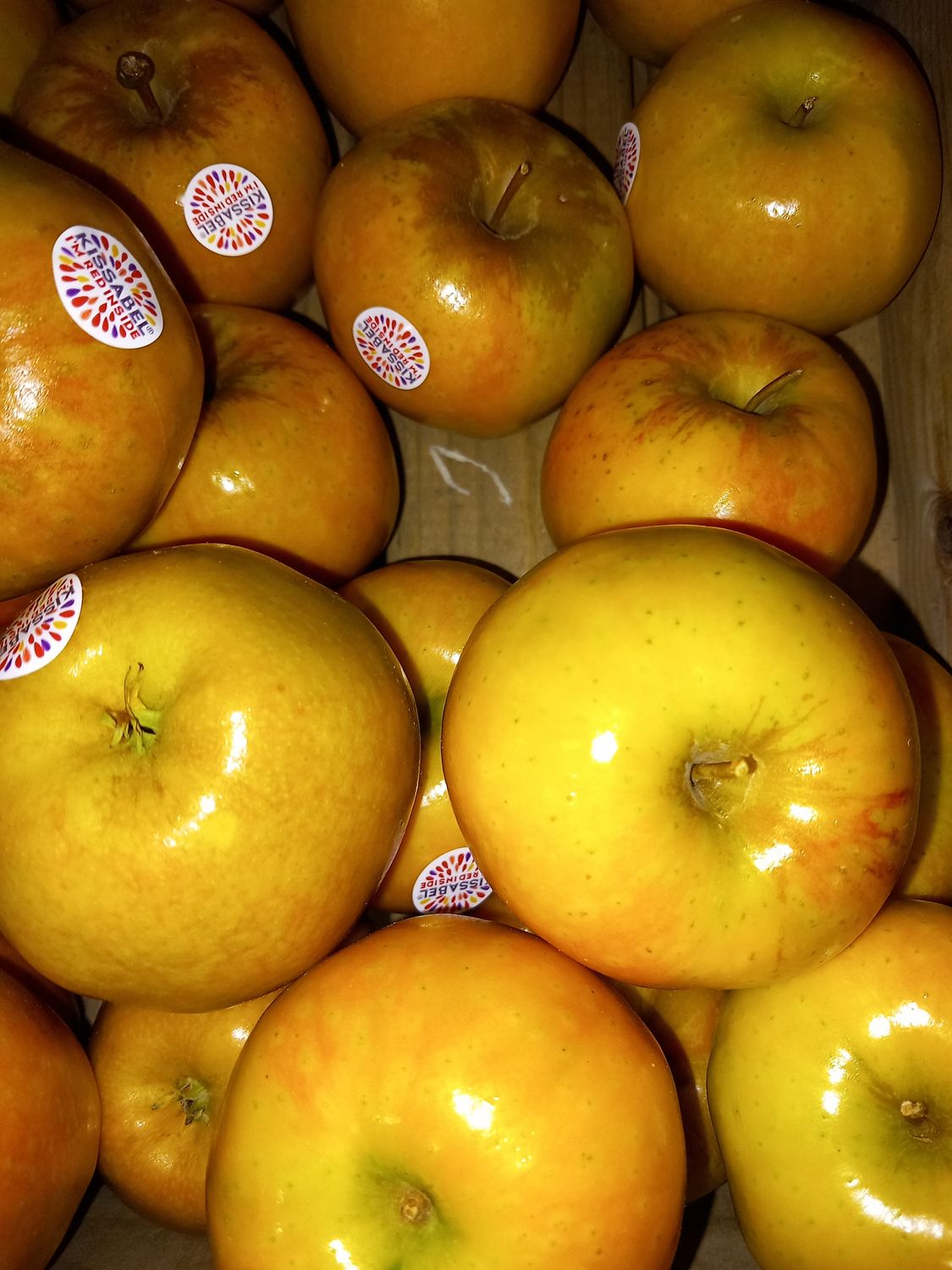 Apple Kissabel (red inside)