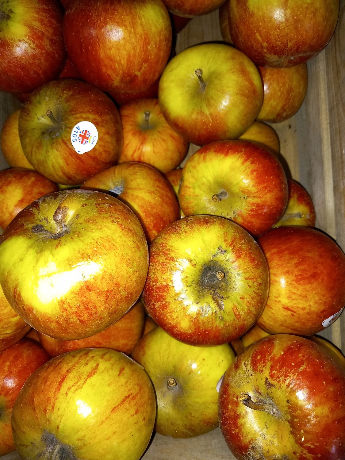 Apple Cox