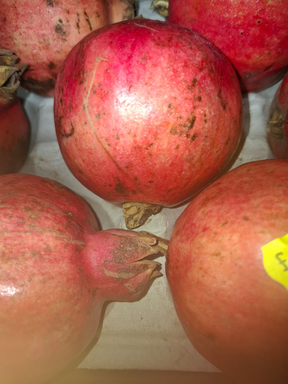 Pomegranite