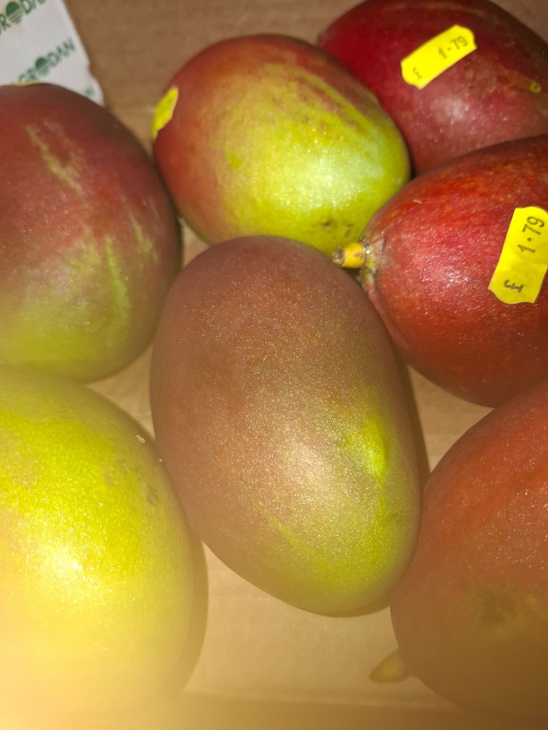 Mango