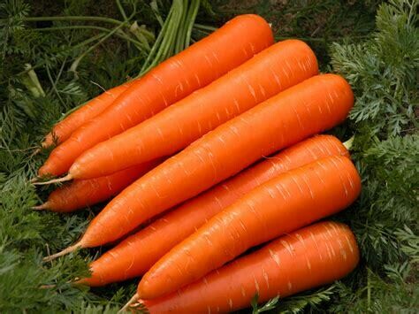 Carrots 1kg