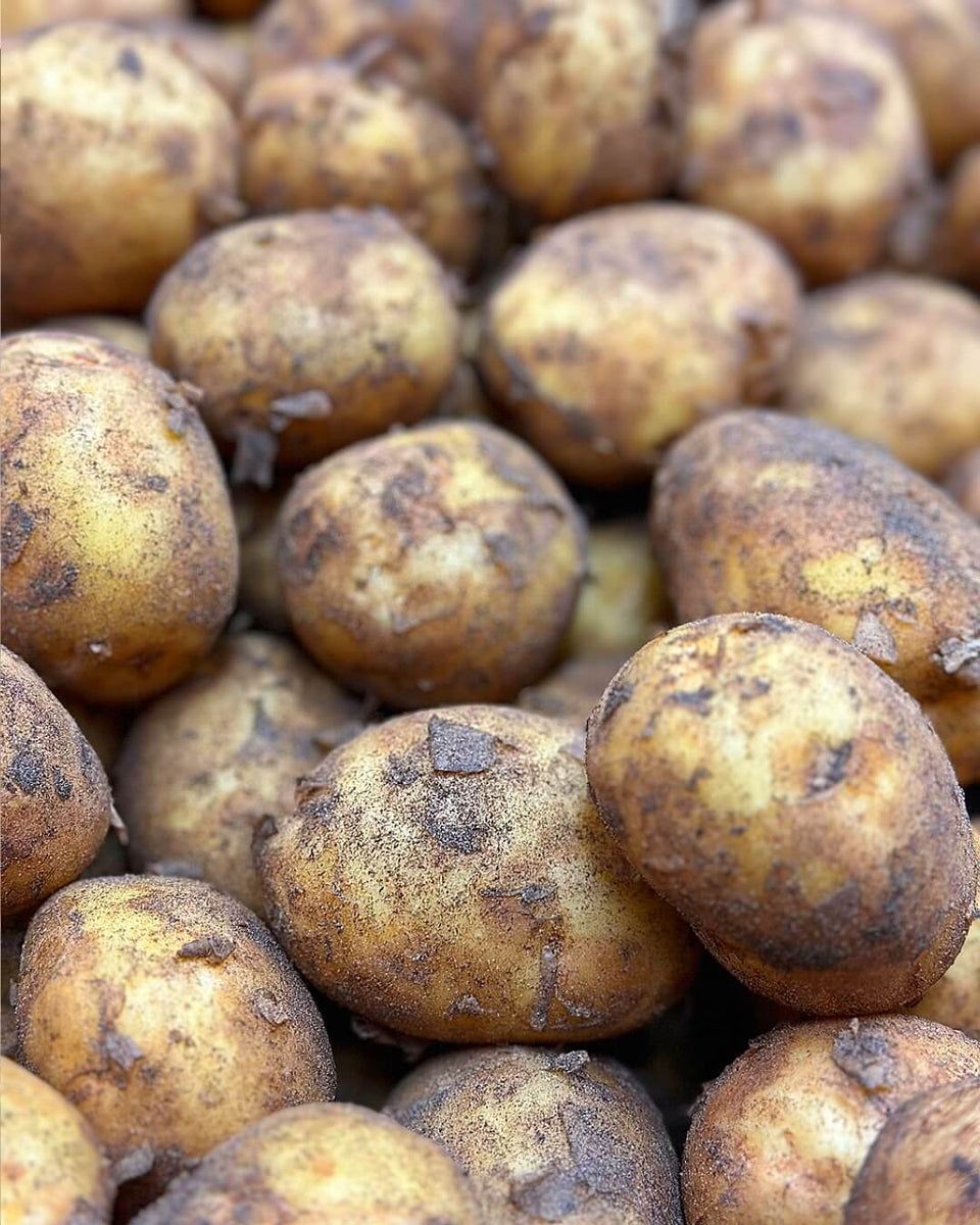 Potatoes (New Wexford) 1kg