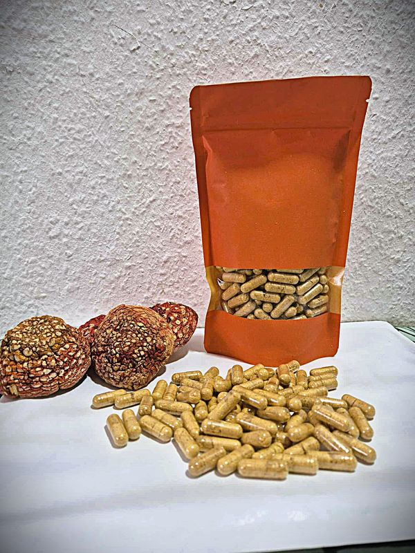 Kapsułki  Amanita,Czaga,Soplówka 0,5g