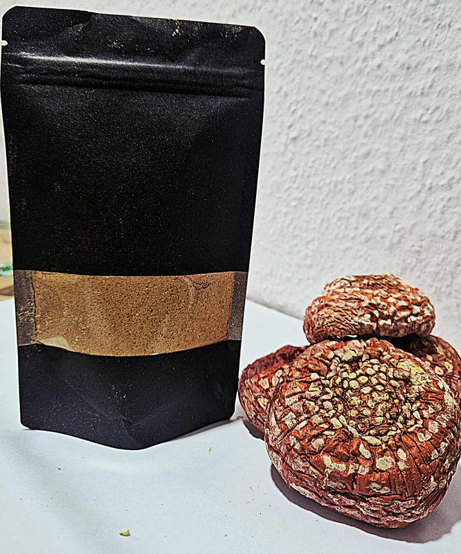 Amanita Muscaria w formie proszku