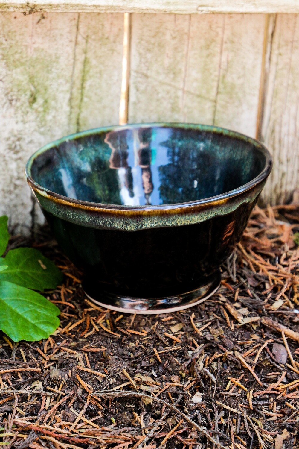 black and teal/green