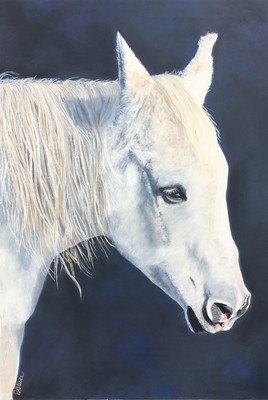 Animals and Other Works