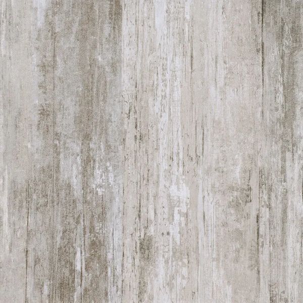 Arctic Birch 600 x 600
