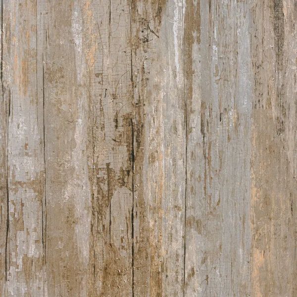 Beach Wood Teak 600 x 600