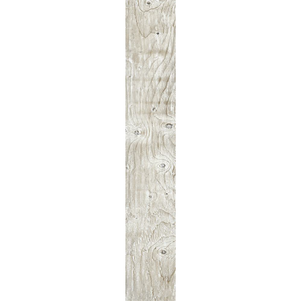 Silver Birch 192 x 1200