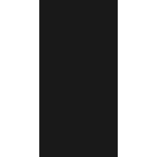Titanium Black  600 x 1200
