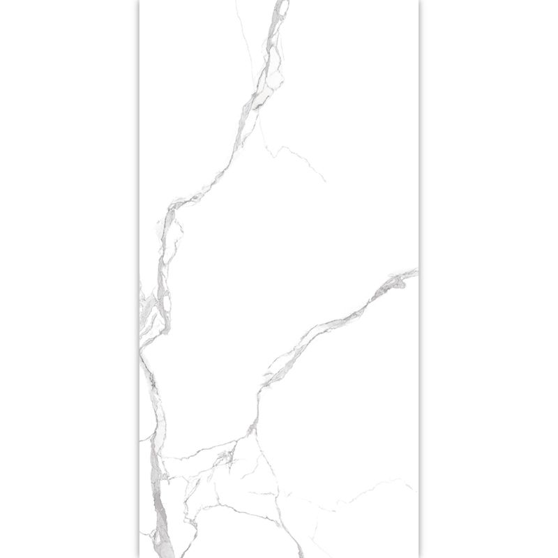 Ivy Hill Carrara 600 x 1200