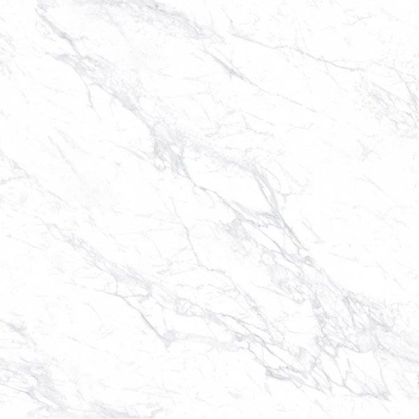 Carrara Bianco 600 x 600