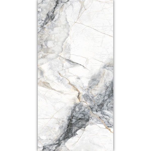 Spectrum Grey 600 x 1200