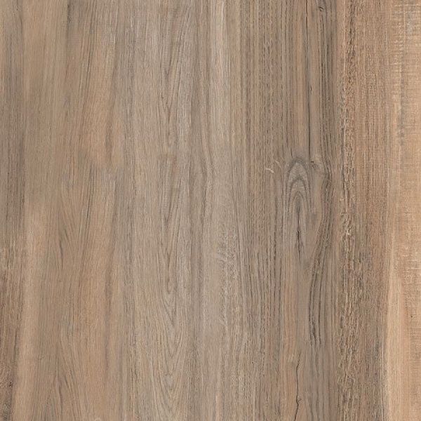 Summer Oak 600 x 600