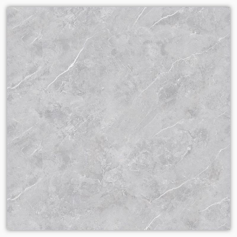 Thunder Silver Matt Porcelain Floor Tile - 800 x 800mm