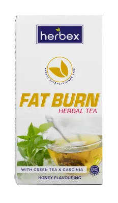 HERBEX F/BURN TEA HONEY 20'S (1/6)  new cost R49.57