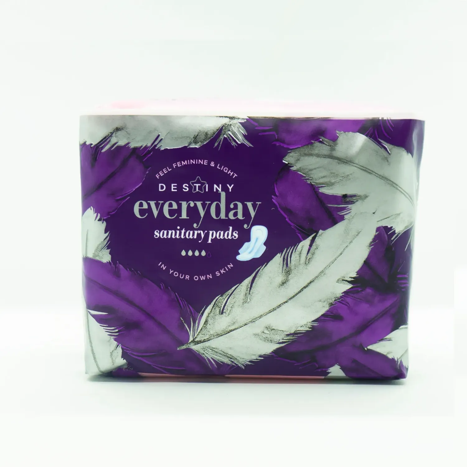 DESTINY EVERYDAY SANITARY PADS 10'S (12/48)