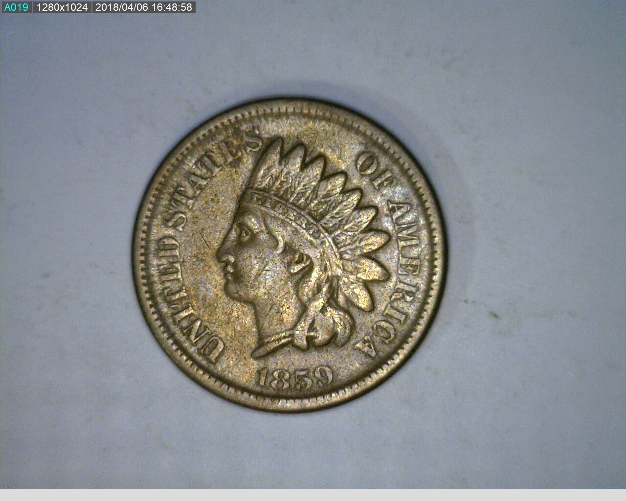 1859 1C Indian Head Cent