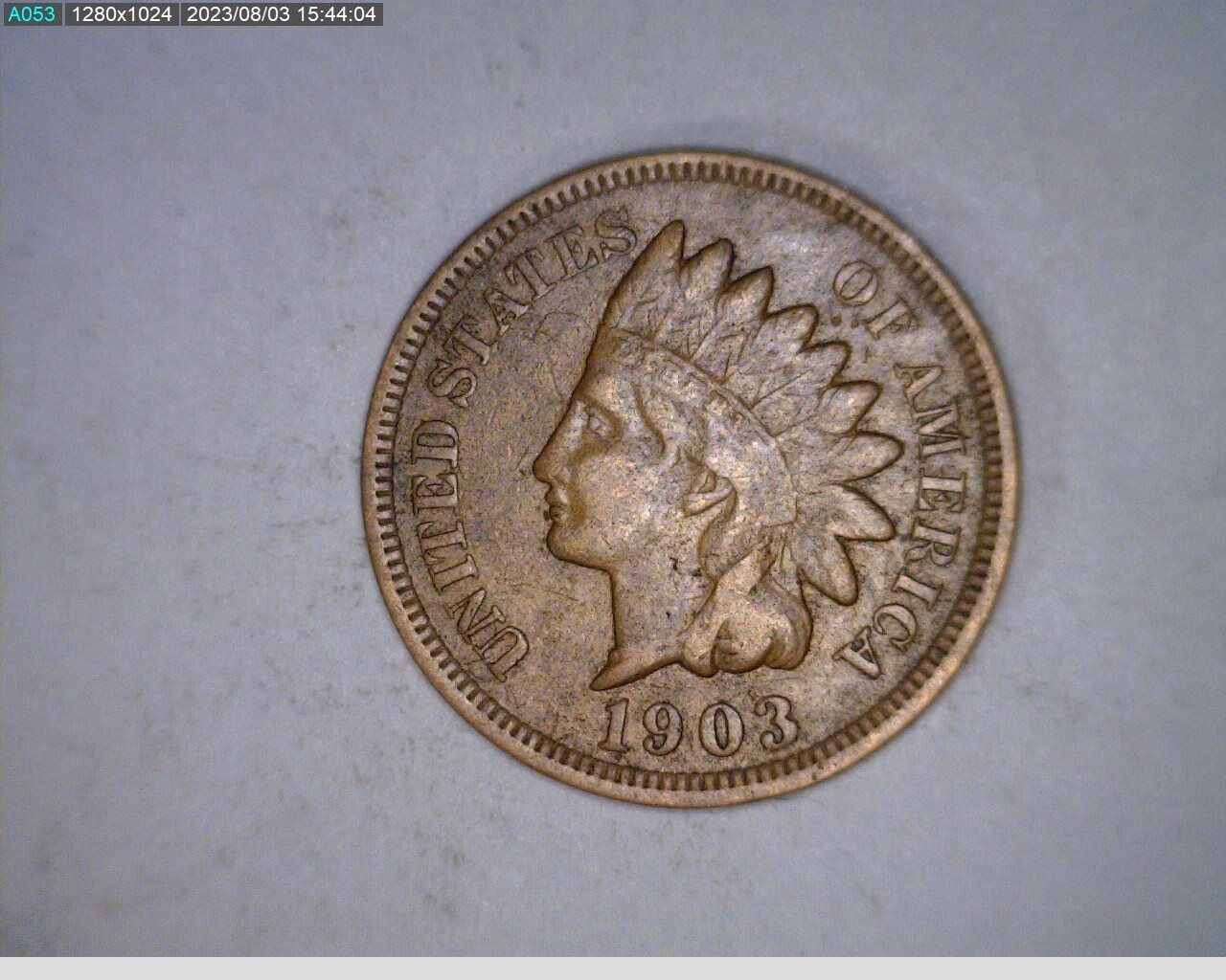 1903 1C Indian Head Cent