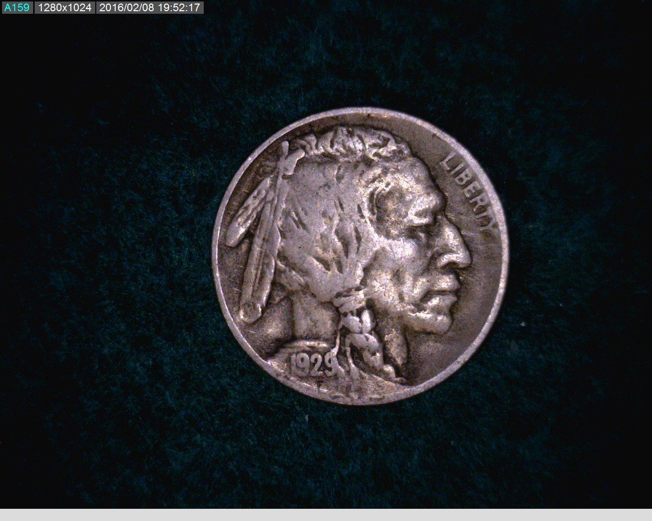 1929-D 5c Buffalo Nickel