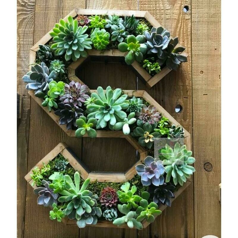 LETRAS DECORATIVAS