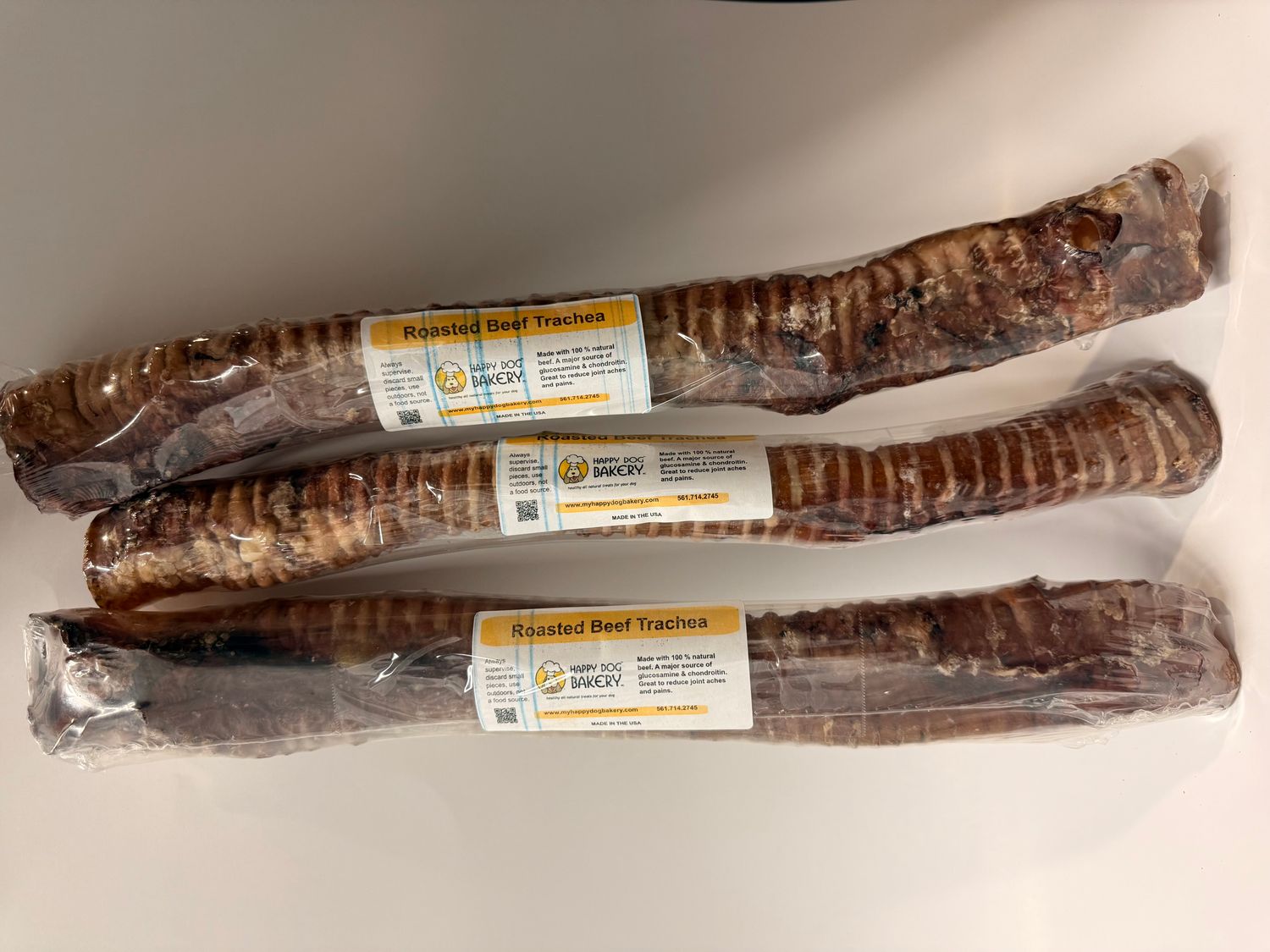 Trachea
