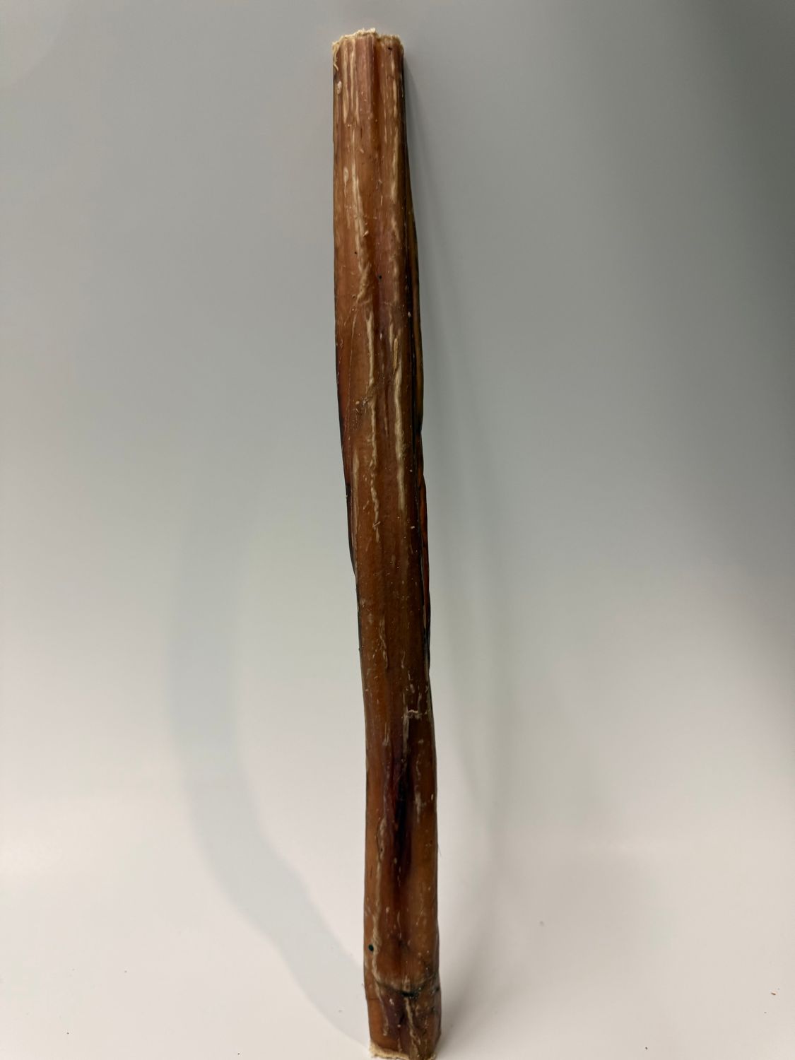 Medium Bully Stick