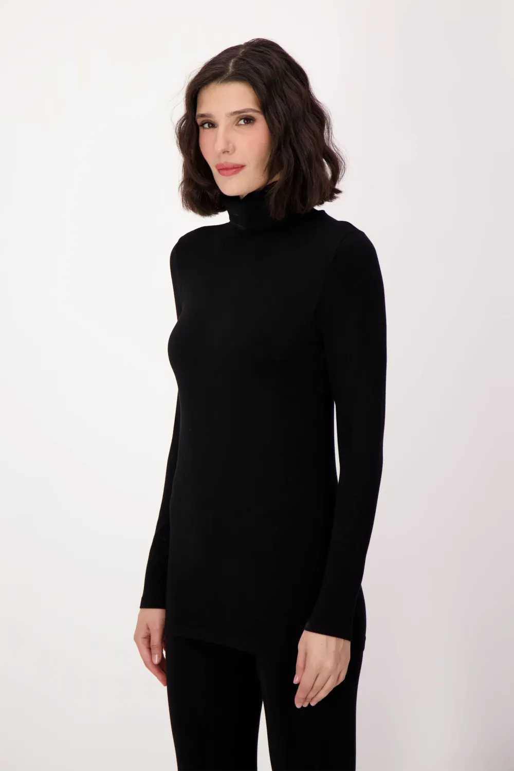 THE TURTLENECK