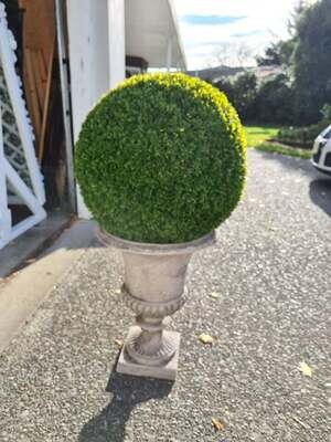 Greenery Topiary Ball - Large